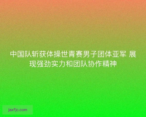 中国队斩获体操世青赛男子团体亚军 展现强劲实力和团队协作精神
